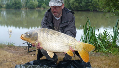 A 23 lb 8 oz carp from Lillypool, Andy, Sep 2013
