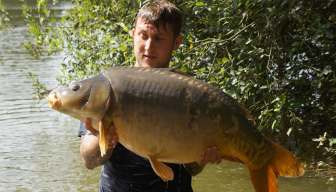 A 36 lb carp from Lillypool, Dan Howles, Aug 2014