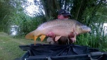 A 29 lb 5 oz carp from Lillypool, Jonathan Davies, Jul 2015