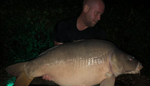 A 40 lb 7 oz carp from Lillypool, Rob Howard, Sep 2018