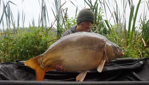 A 31 lb 5 oz carp from Lillypool, Callum Gordon, Aug 2015