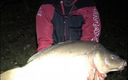 A 37 lb carp from Lillypool, Rob Houghton, Oct 2018
