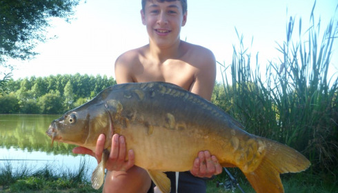 A 28 lb 4 oz carp from Lillypool, Cody Brown, Aug 2013