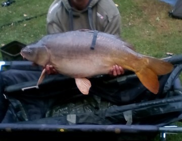 A 26 lb 8 oz carp from Lillypool, Phil Milner, Jul 2017