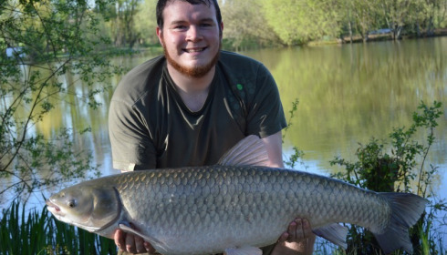 A 34 lb grass carp from Lillypool, Ryan Snelson, Apr 2018