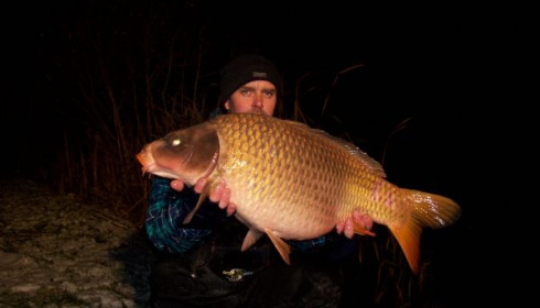 A carp from Lillypool, Fish stocked Dec 09, Dec 2009