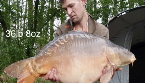 A 36 lb 8 oz carp from Lillypool, Chris Waldron, Sep 2019