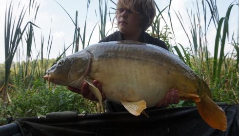 A 24 lb 7 oz carp from Lillypool, Callum Gordon, Aug 2015