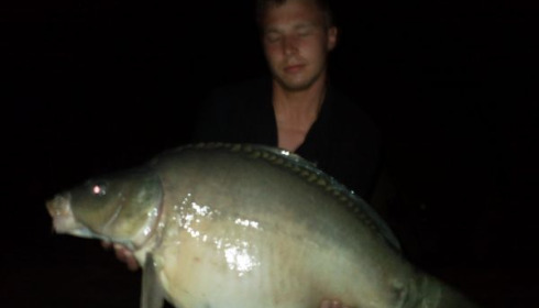A carp from Lillypool, Matt burchell, Aug 2010