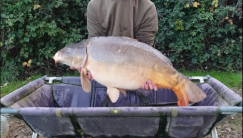 A 35 lb carp from Lillypool, Tom Turner, Oct 2019