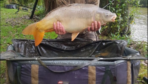 A 26 lb carp from Lillypool, Dave Mason, Oct 2019