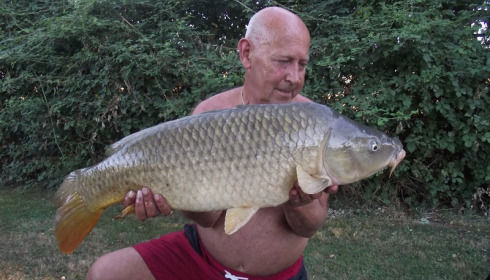 A 20 lb carp from Lillypool, Dave Lock, Sep 2016