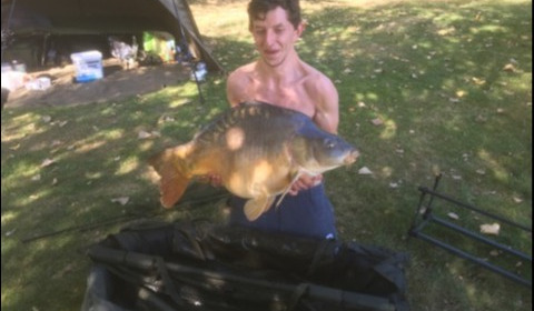A 38 lb 8 oz carp from Lillypool, Brad Fawcett, Sep 2019