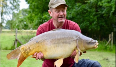 A 28 lb carp from Lillypool, Dave Fisher, Jun 2019