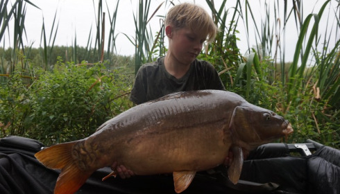 A 31 lb 2 oz carp from Lillypool, Daniel Gordon, Aug 2015
