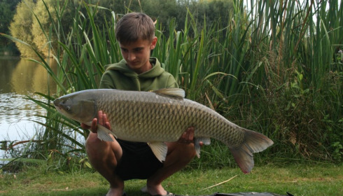 A 23 lb 12 oz grass carp from Lillypool, Matt Burgess, Jul 2014