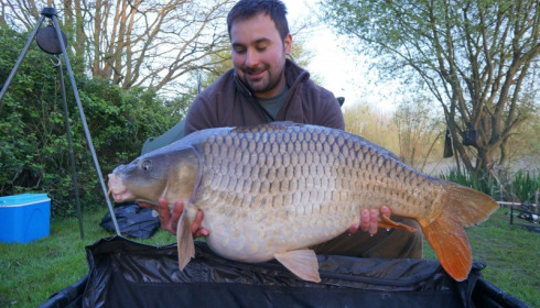 A 33 lb 15 oz carp from Lillypool, Ste Holmes, Apr 2015