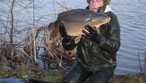 A carp from Lillypool, One of the new stock added in January, Jan 2011