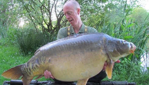A 50 lb 8 oz carp from Lillypool, Darren Ford, May 2018