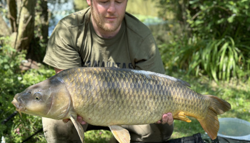 A 24 lb 10 oz fish from Lillypool, COMMON, Jun 2023