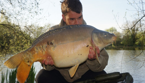 A 31 lb 12 oz carp from Lillypool, Dave Perry, Apr 2015