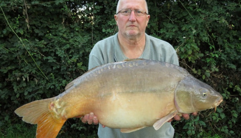 A 34 lb 8 oz carp from Lillypool, Stephen Jacques, Sep 2017