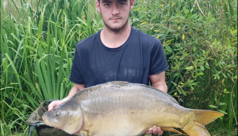 A 28 lb carp from Lillypool, Macca Jones, Jul 2018