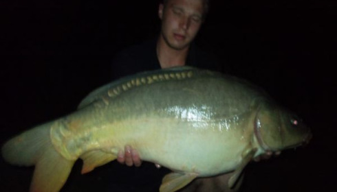 A carp from Lillypool, Matt burchell, Aug 2010
