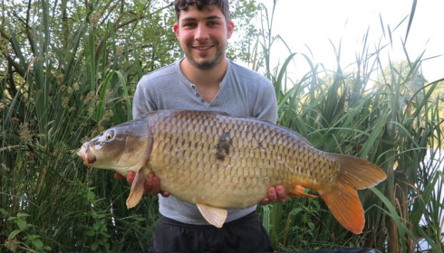 A 27 lb 10 oz carp from Lillypool, Alex Cook, Jun 2014