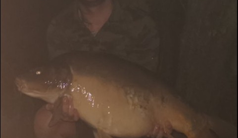 A 34 lb 13 oz carp from Lillypool, Darren Key, Sep 2019