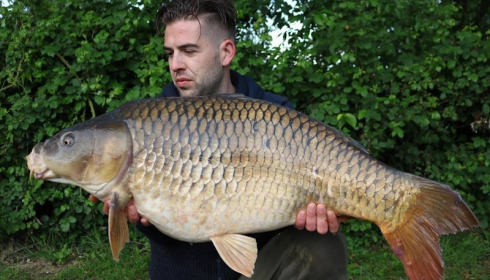 A 31 lb 8 oz carp from Lillypool, Aaron Ludlow, May 2018