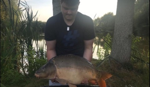 A 20 lb carp from Lillypool, Toby May, Aug 2019