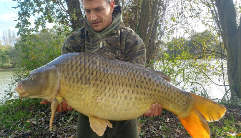 A 36 lb fish from Lillypool, Phil Milner, Oct 2022