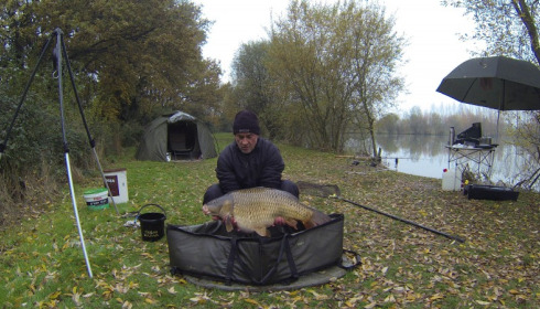 A 31 lb carp from Lillypool, Steve Knight, Dec 2013