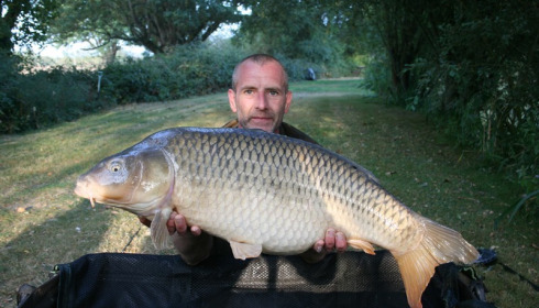 A 31 lb 15 oz carp from Lillypool, Mark Antobus, Aug 2016