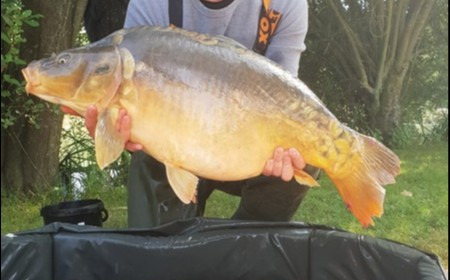 A 30 lb carp from Lillypool, Matthew Piggott, Jul 2018