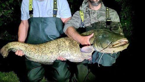 A 64 lb carp from Lillypool, Mark & Luke Hilliard, May 2022