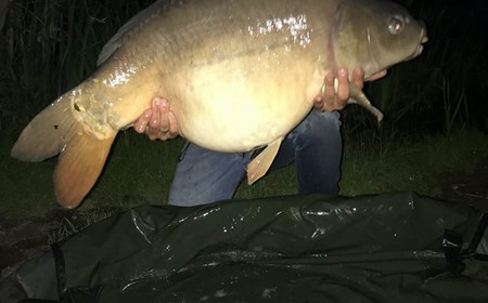 A 35 lb 5 oz carp from Lillypool, Kenny Moyes, May 2018