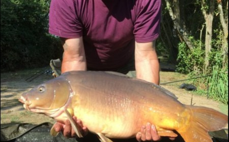 A 26 lb 8 oz carp from Lillypool, Alan Polley, Aug 2018