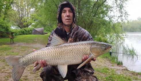 A grass carp from Lillypool, Andy Perrett, Apr 2018