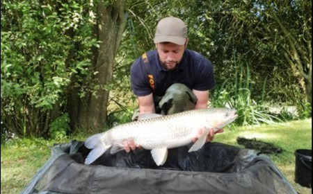 A grass carp from Lillypool, Matthew Piggott, Jul 2018