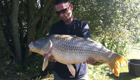 A 25 lb 8 oz carp from Lillypool, Kev, Aug 2012