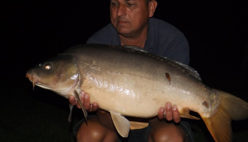 A 20 lb 7 oz carp from Lillypool, Michael Muckleston, Sep 2014