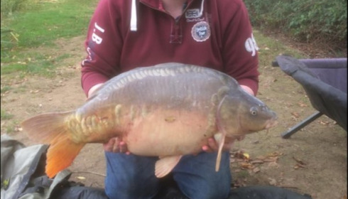 A 29 lb 10 oz carp from Lillypool, Dan Wrigglesworth, Oct 2018