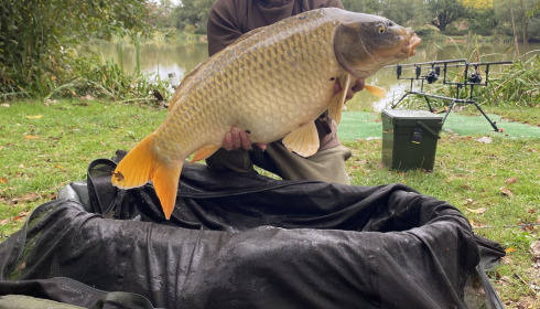 A 34 lb carp from Lillypool, Steve Easton, Sep 2022