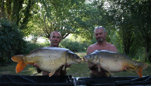 A carp from Lillypool, Mark & Rob Antrobus, Sep 2016