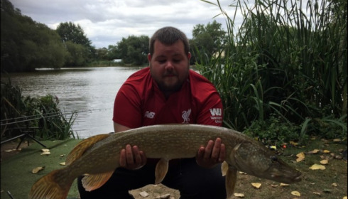 A fish from Lillypool, Jay Langan, Aug 2018