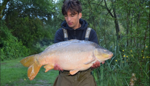 A carp from Lillypool, Ben Ralston, May 2018