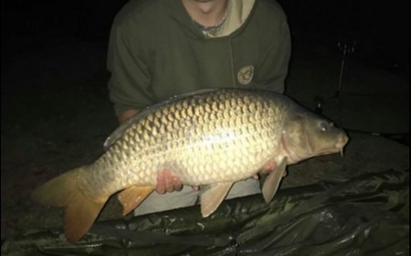 A 20 lb carp from Lillypool, Andy Groves, Sep 2018
