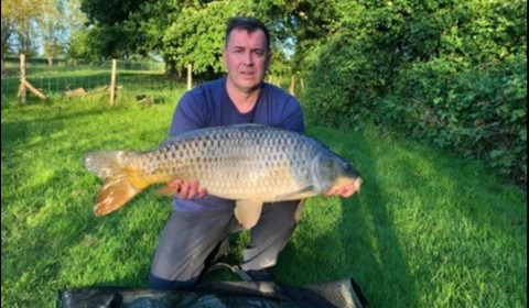 A carp from Lillypool, James Easton, May 2019
